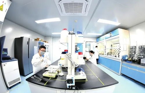 辛小湘丨促進(jìn)民營(yíng)經(jīng)濟(jì)高質(zhì)量發(fā)展的湖南答案 生物技術(shù)開發(fā)服務(wù)的創(chuàng)新與實(shí)踐