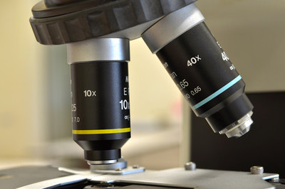 生物經(jīng)濟(jì) 定義、核心特征與生物技術(shù)開發(fā)服務(wù)的驅(qū)動(dòng)作用