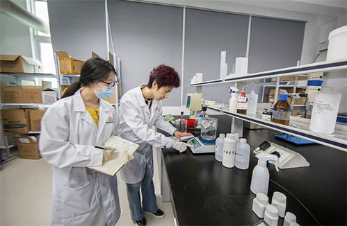 抓品質(zhì)重服務(wù)，海智生物專注品質(zhì)，倚夢前行