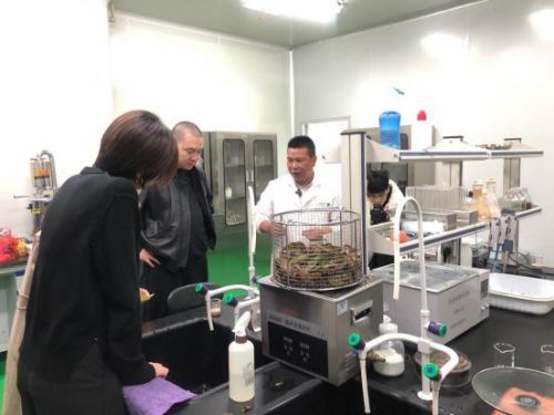 科技賦能農(nóng)業(yè)新篇章 CCTV 1聚焦云谷田園LED植物工廠，珍稀本草金線蓮成功培育引領(lǐng)生物技術(shù)新服務(wù)